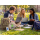 D-Link DWR-933W WiFi a/b/g/n//ac/ax 3G/4G (LTE) 300Mbps - 1605509 - zdjęcie 6